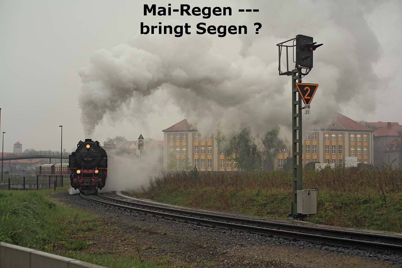 Mai-Regen ---
bringt Segen ?