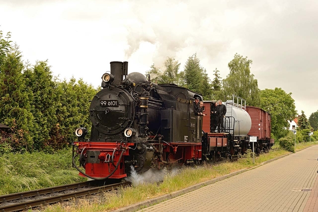 Lok 99 6101 mit Rollbockzug in Wernigerode Hasserode am 04.06.2012 - Fotograf Klaus D. Holzborn